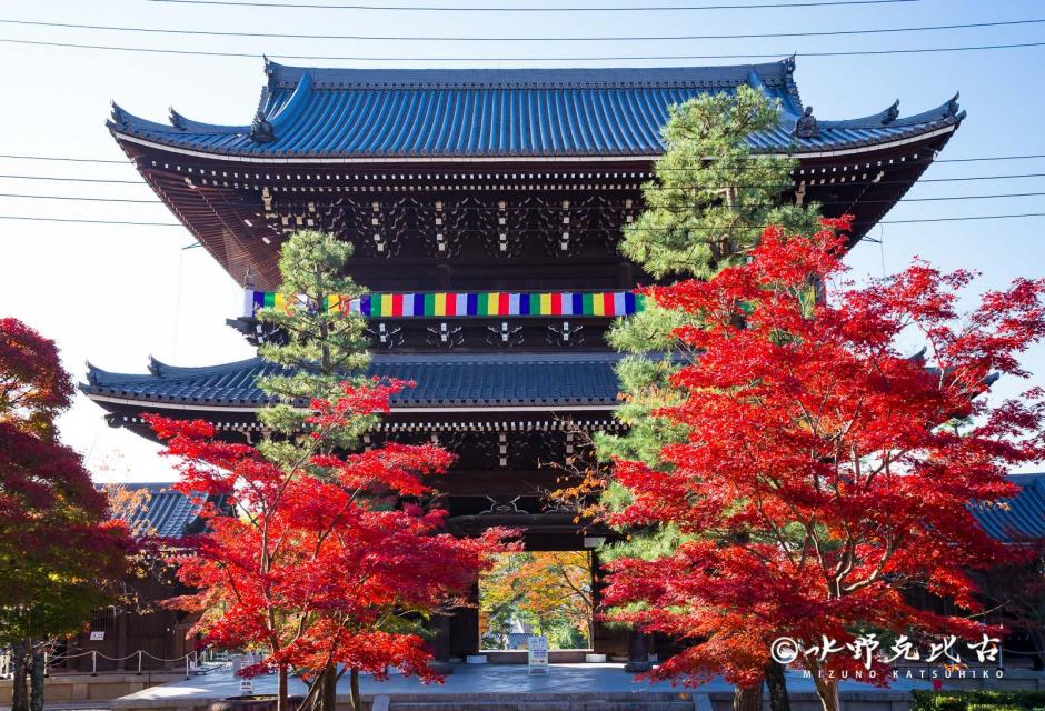 LAST SAMURAI~ Experience nineteenth-century samurai culture at Konkai  Komyoji Temple