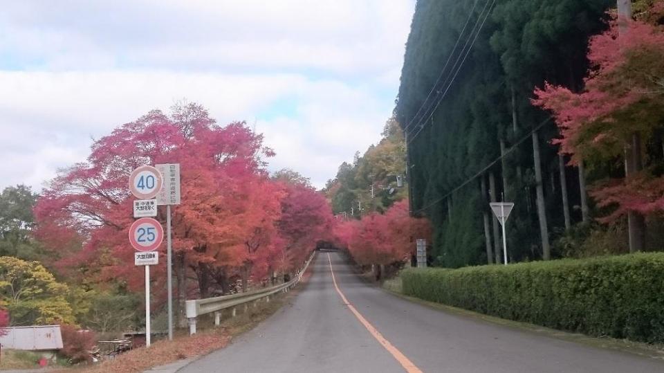 Arashiyama Takao Parkway