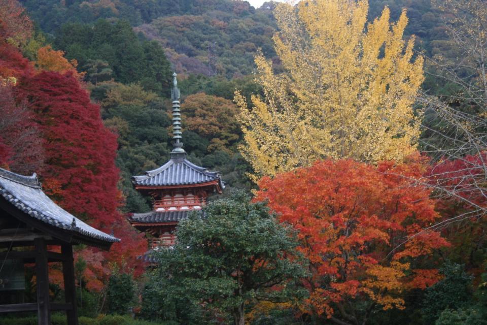 Uji City: Mimuroto-ji Temple
