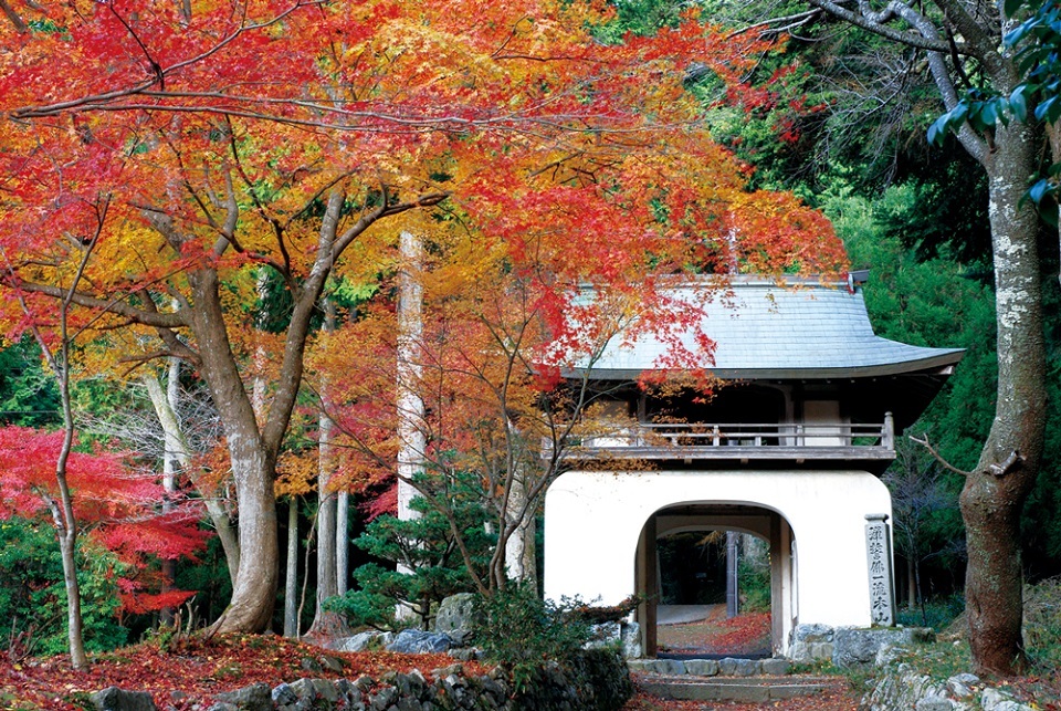Kochidani amida-ji Temple