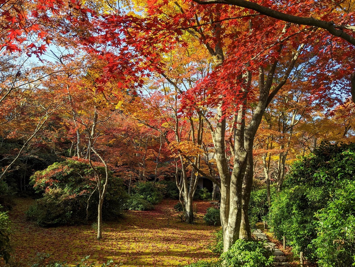 Okochi-sanso Garden