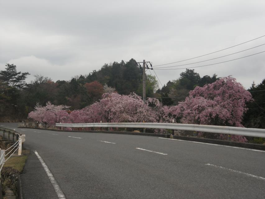 Mt. Hiei Driveway