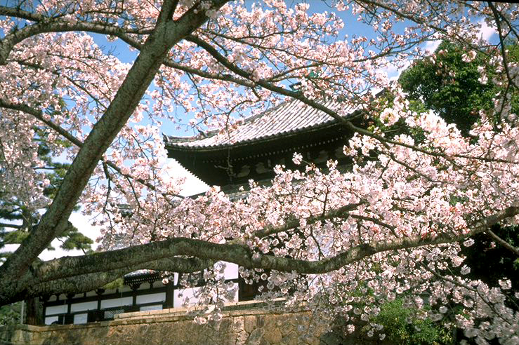 Konkai Komyo-ji Temple