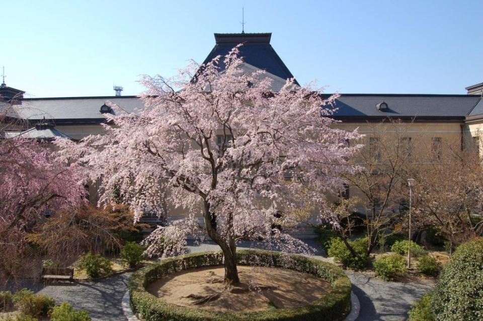 Kyoto Prefectural Office