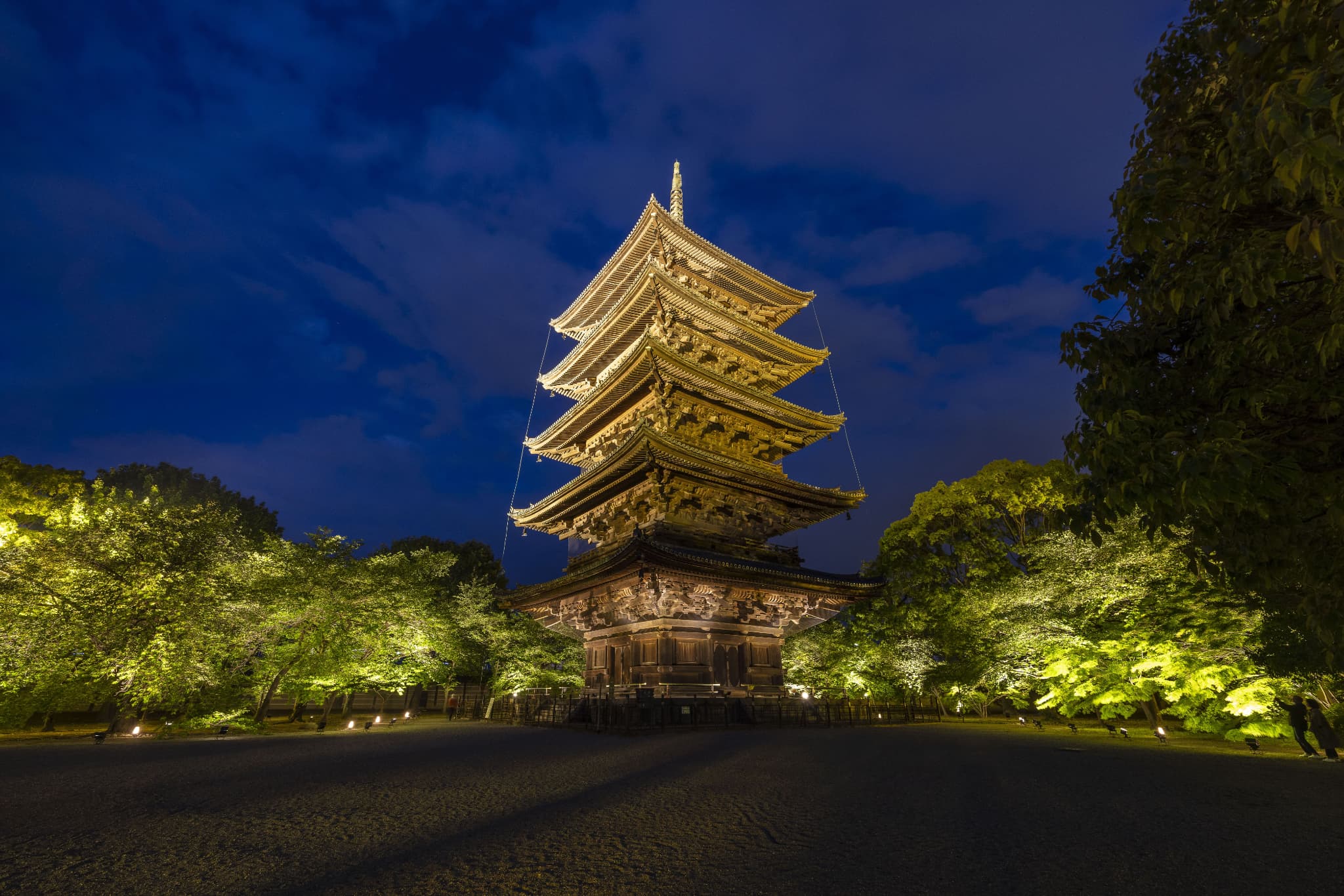 Experience Traditional Culture at Kyoto Gyoen National Garden