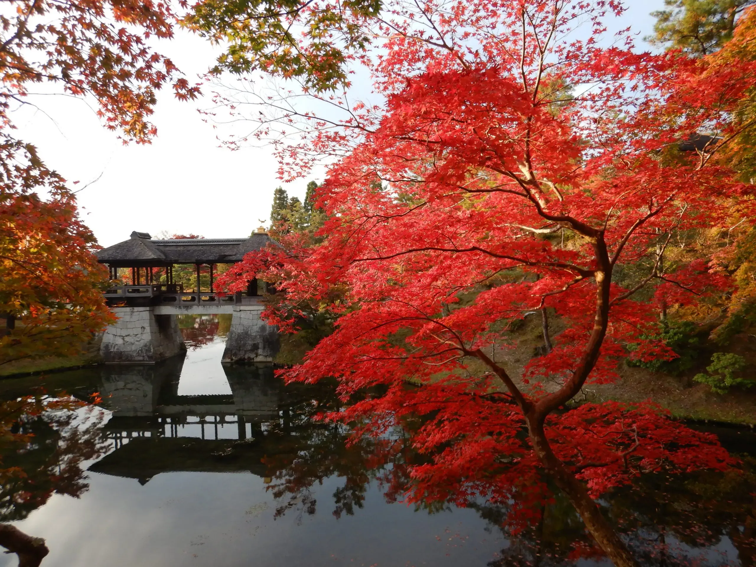 Villa Imperial Shugakuin