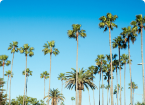 Los Angeles (USA)