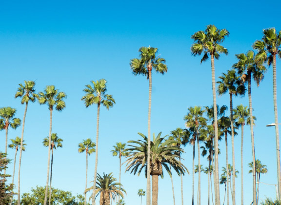 Los Angeles (USA)