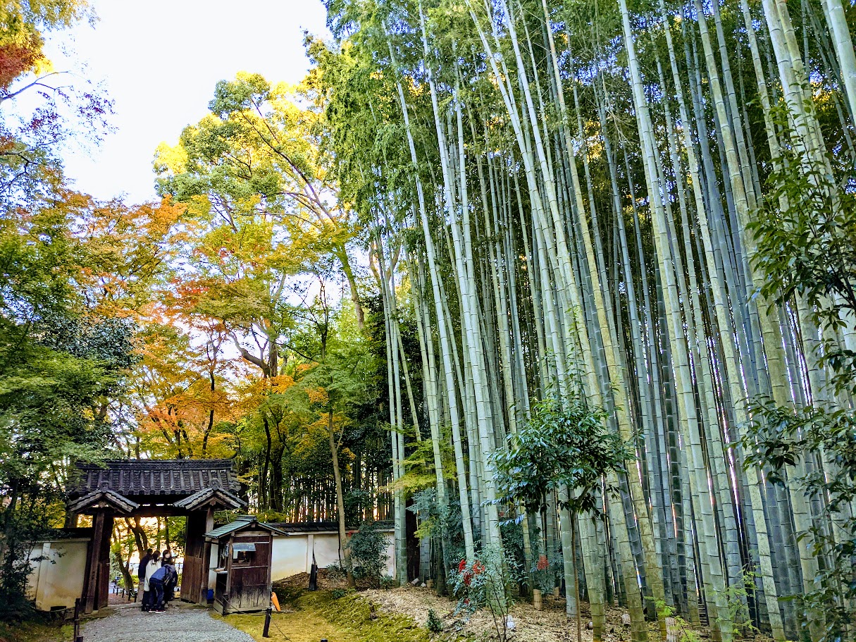 Nishikyo