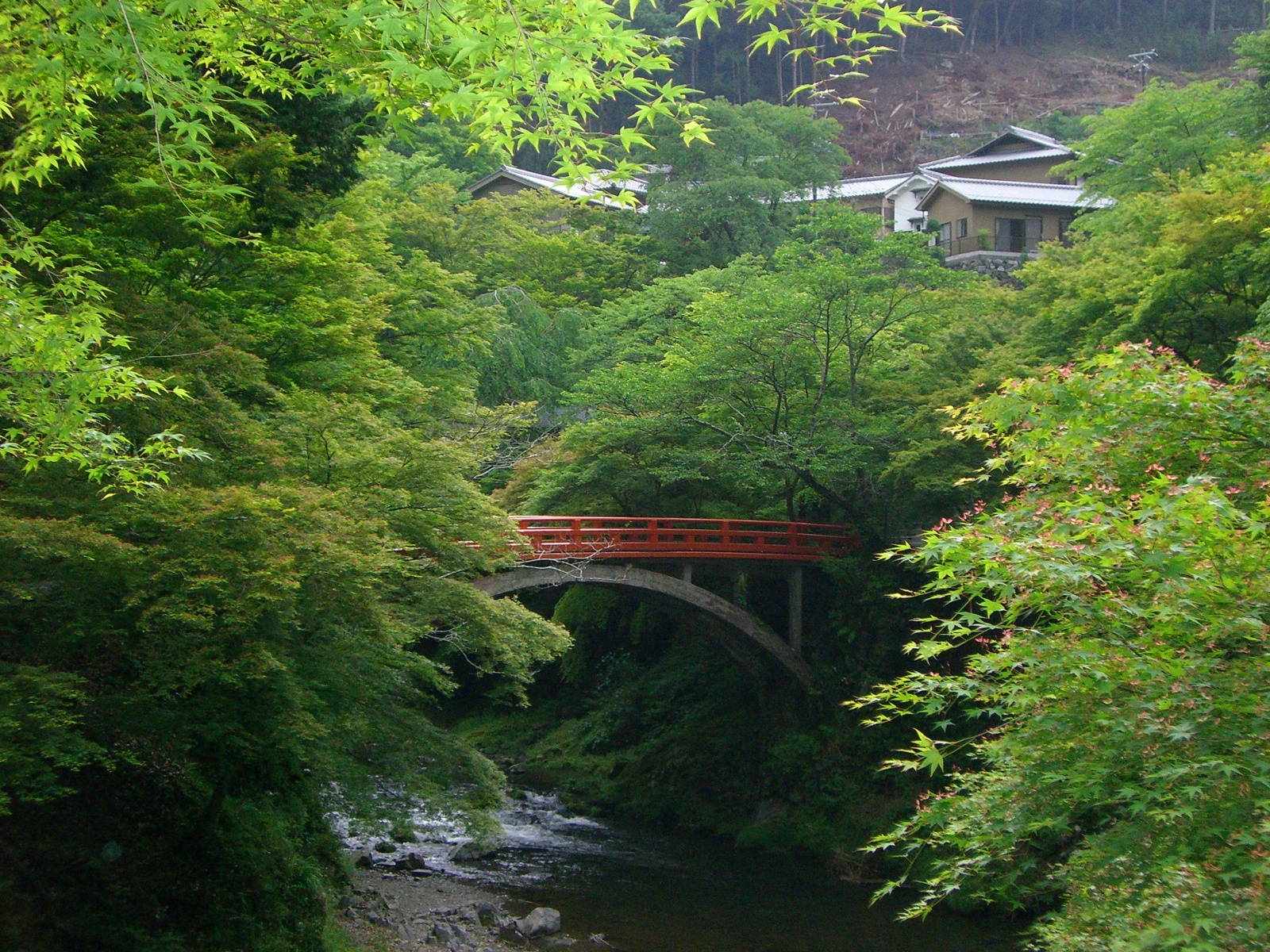 Takao