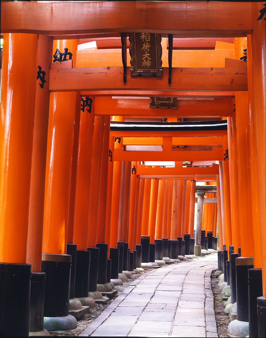 Fushimi Inari Taisha Shrine Kyoto Travel