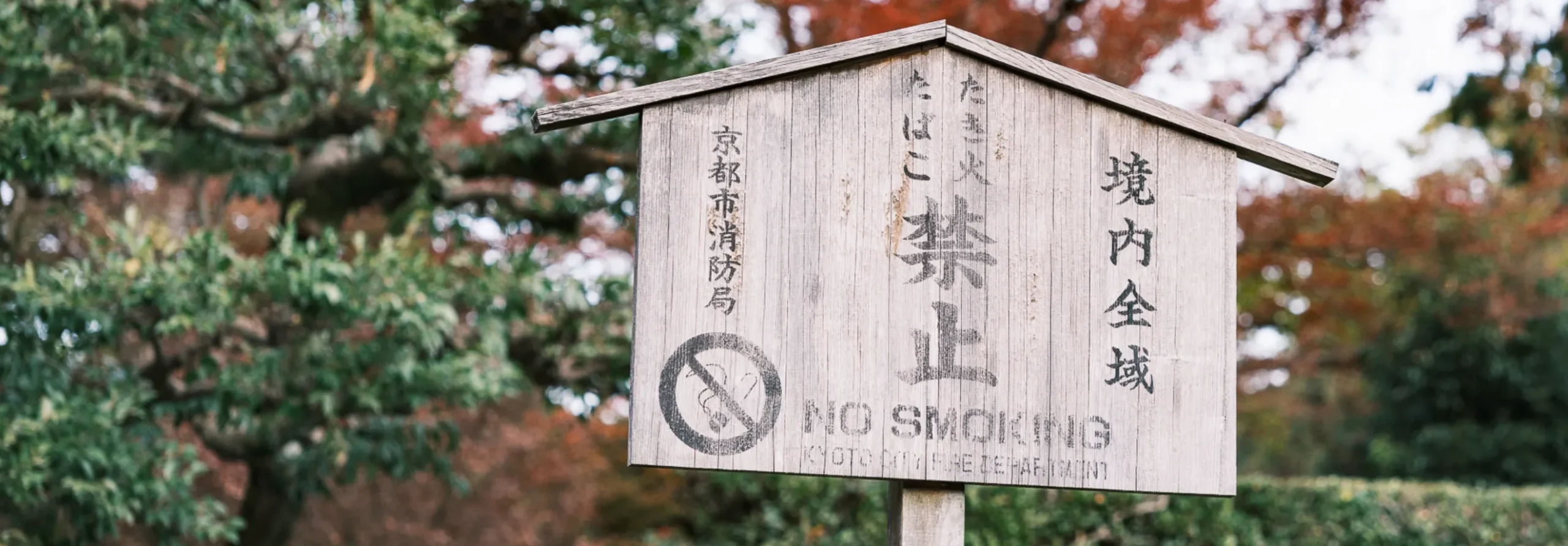 善盡責任的旅程