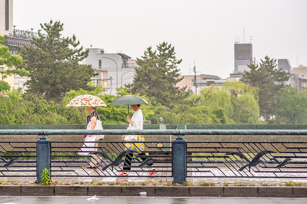Heavy Rain Warning has been announced