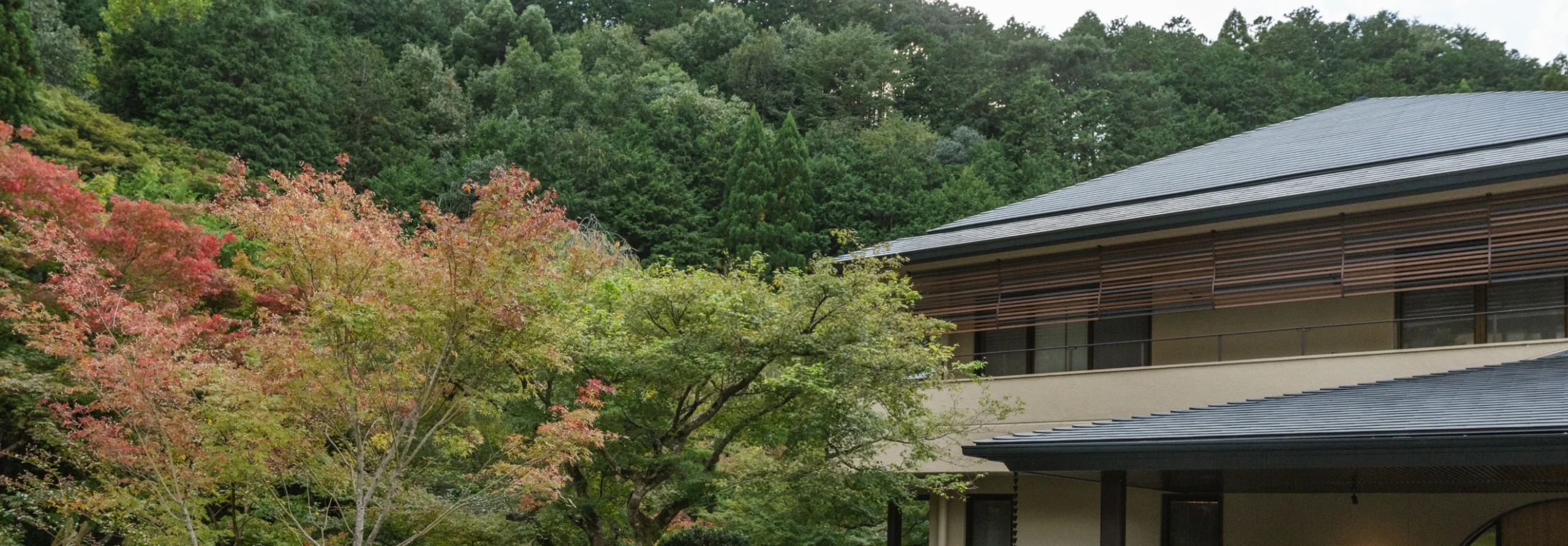 Sustainable Accommodations