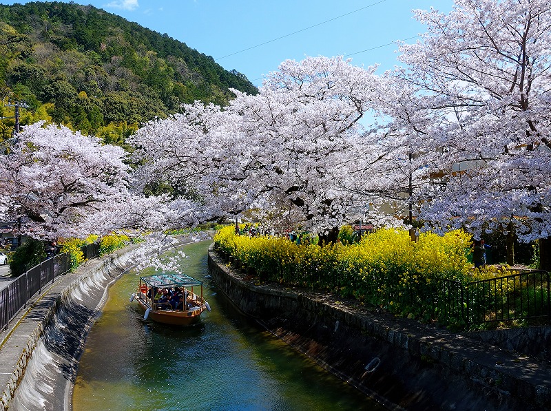 The 2025 Lake Biwa Canal Cruise in Spring