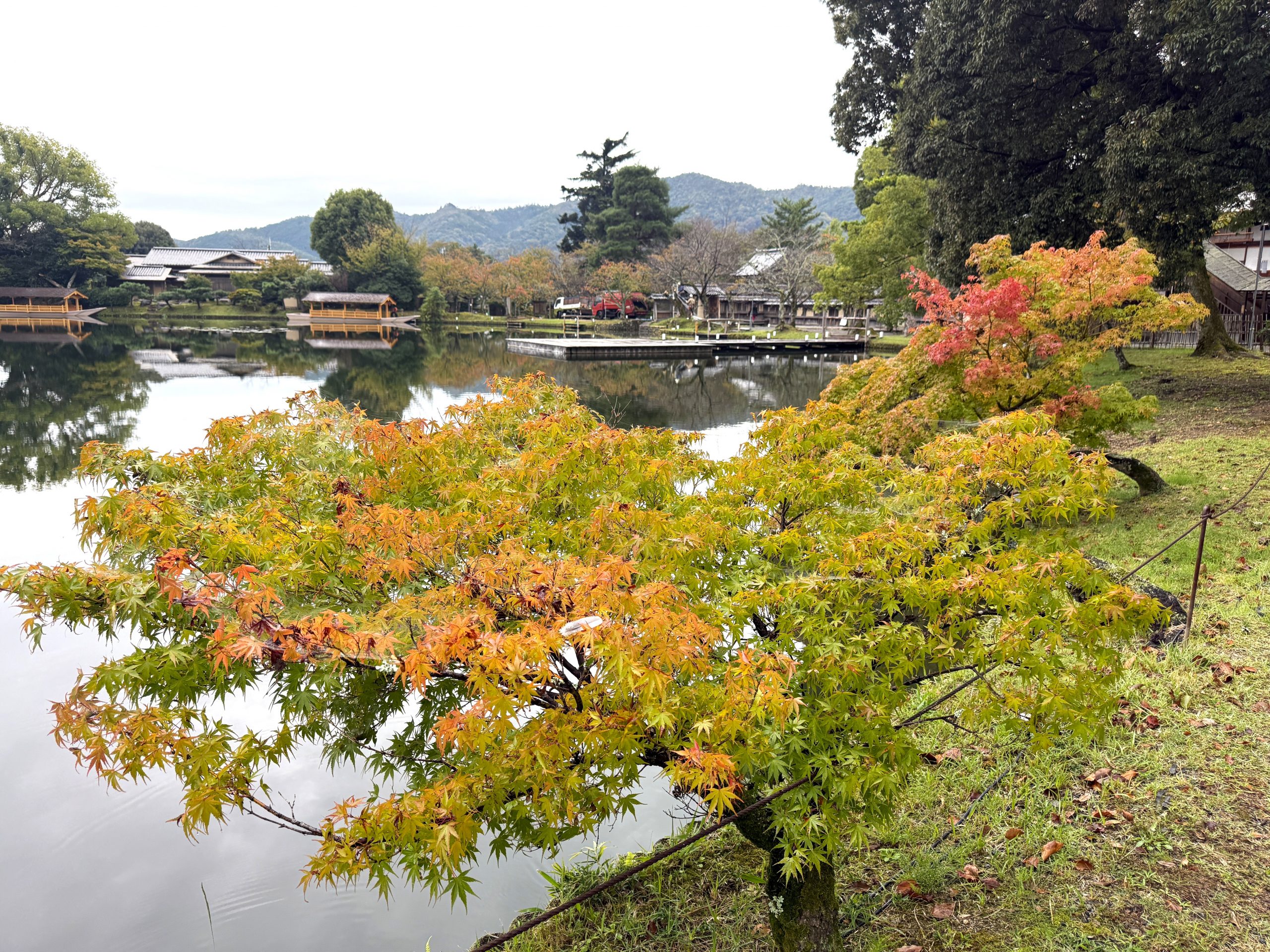 The Kyoto Autumn Leaves Calendar 2026 has been released!