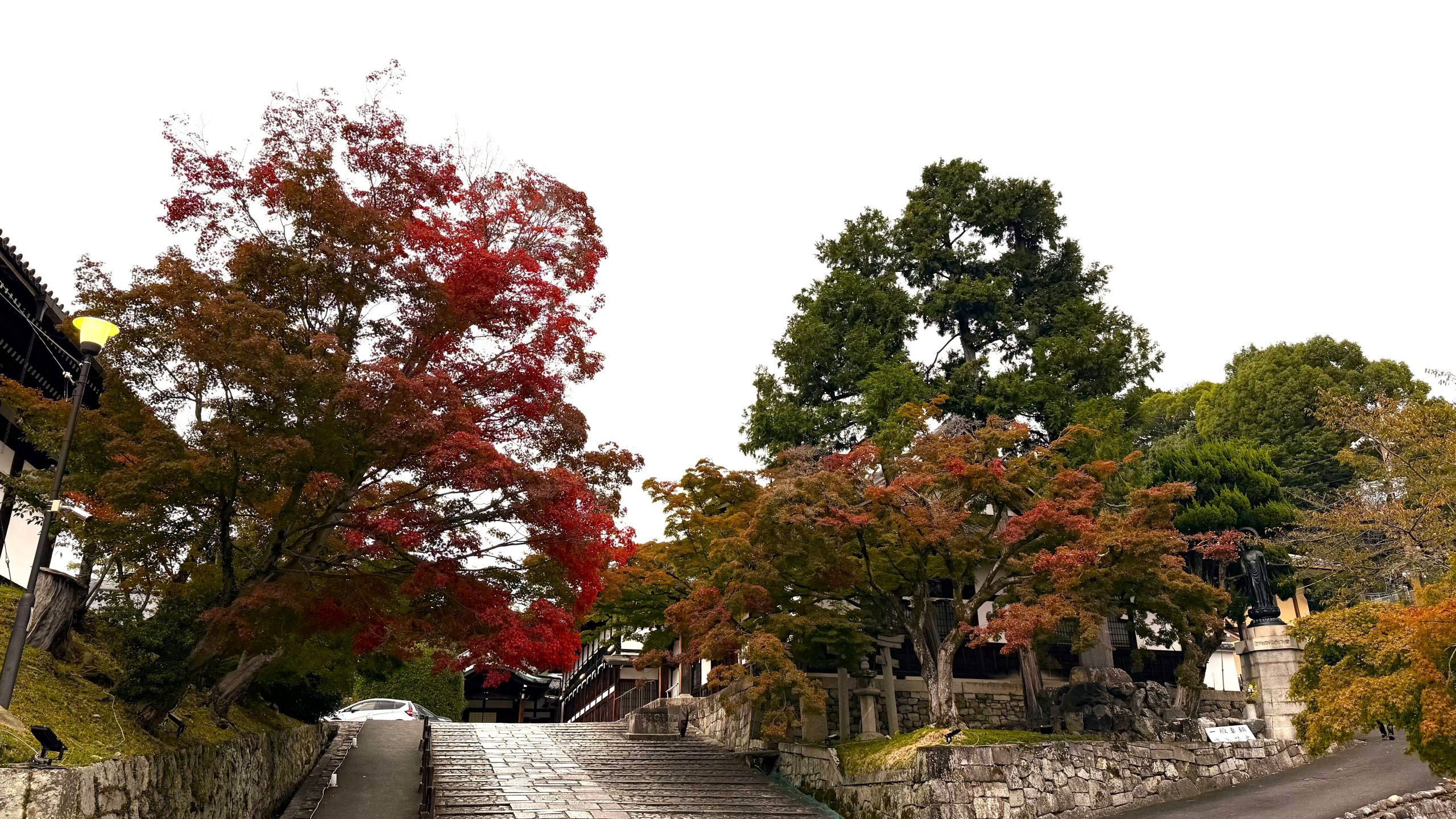 The Kyoto Autumn Leaves Calendar 2025 has been released!