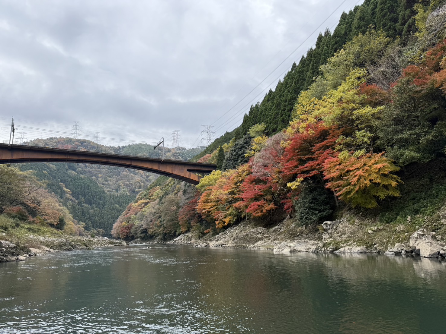 2025년 교토 단풍 달력이 업데이트되었습니다!