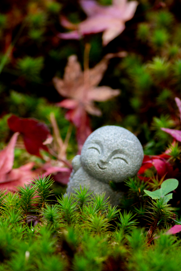 The Kyoto Autumn Leaves Calendar 2025 has been updated!