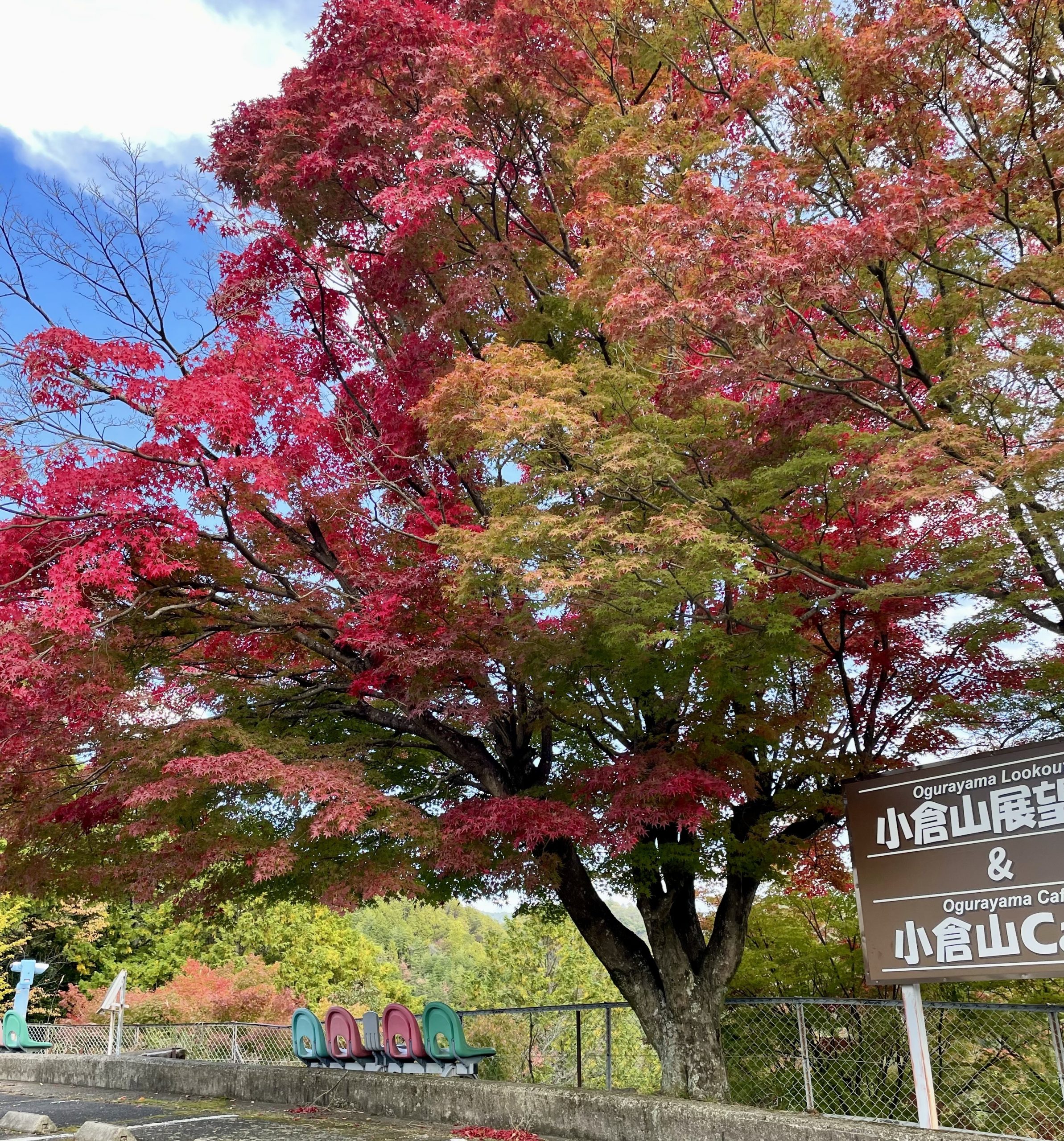 The Kyoto Autumn Leaves Calendar 2025 has been updated!