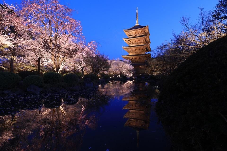 Iluminación de primavera y eventos especiales de inauguración