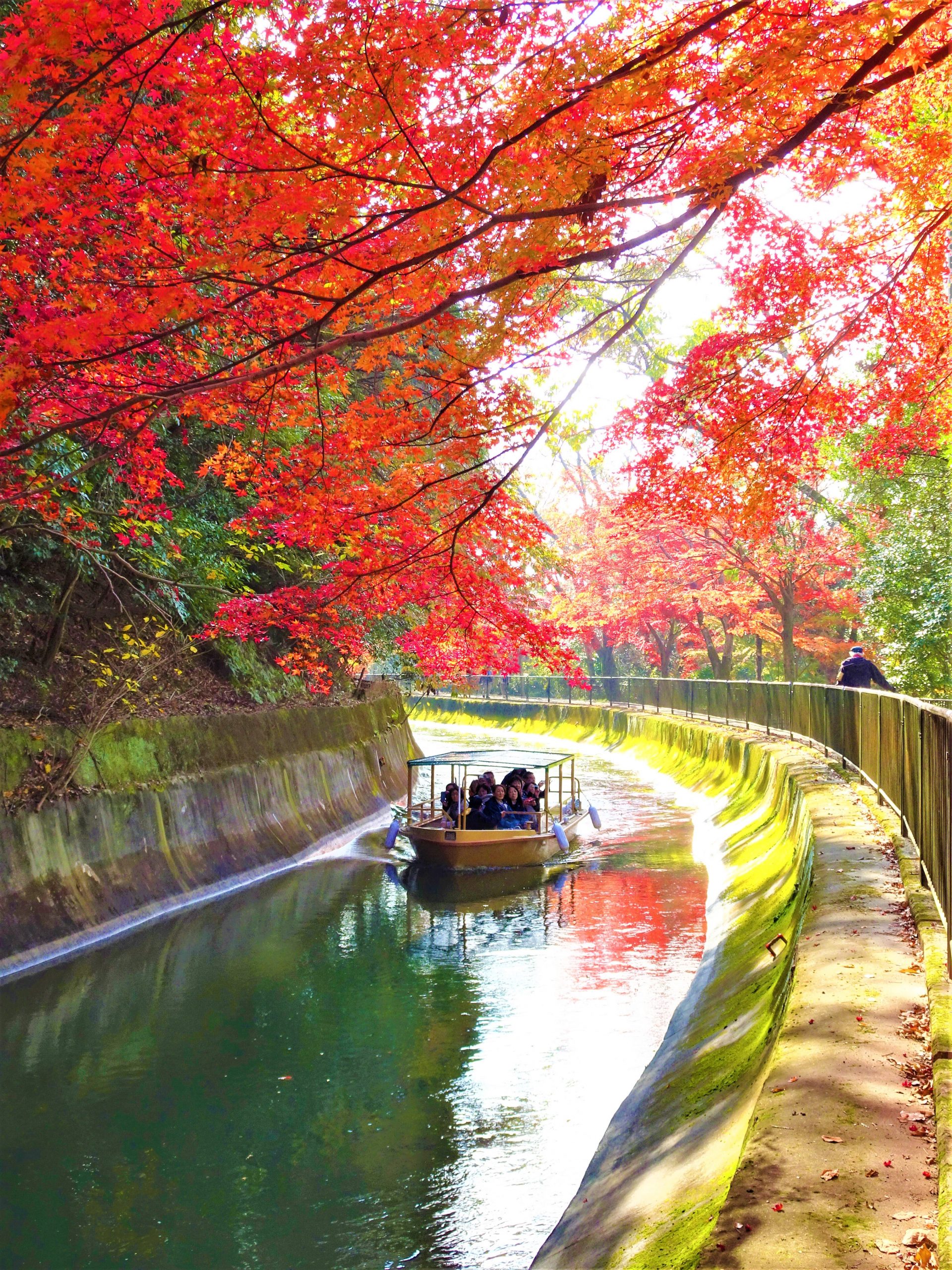 The 2025 Lake Biwa Canal Cruise in  Autumn