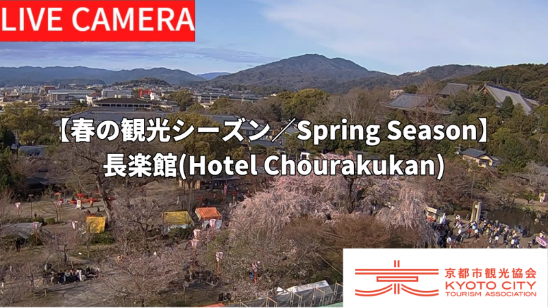 Transmisión en vivo por cámara de la situación de aglomeración durante la primavera.