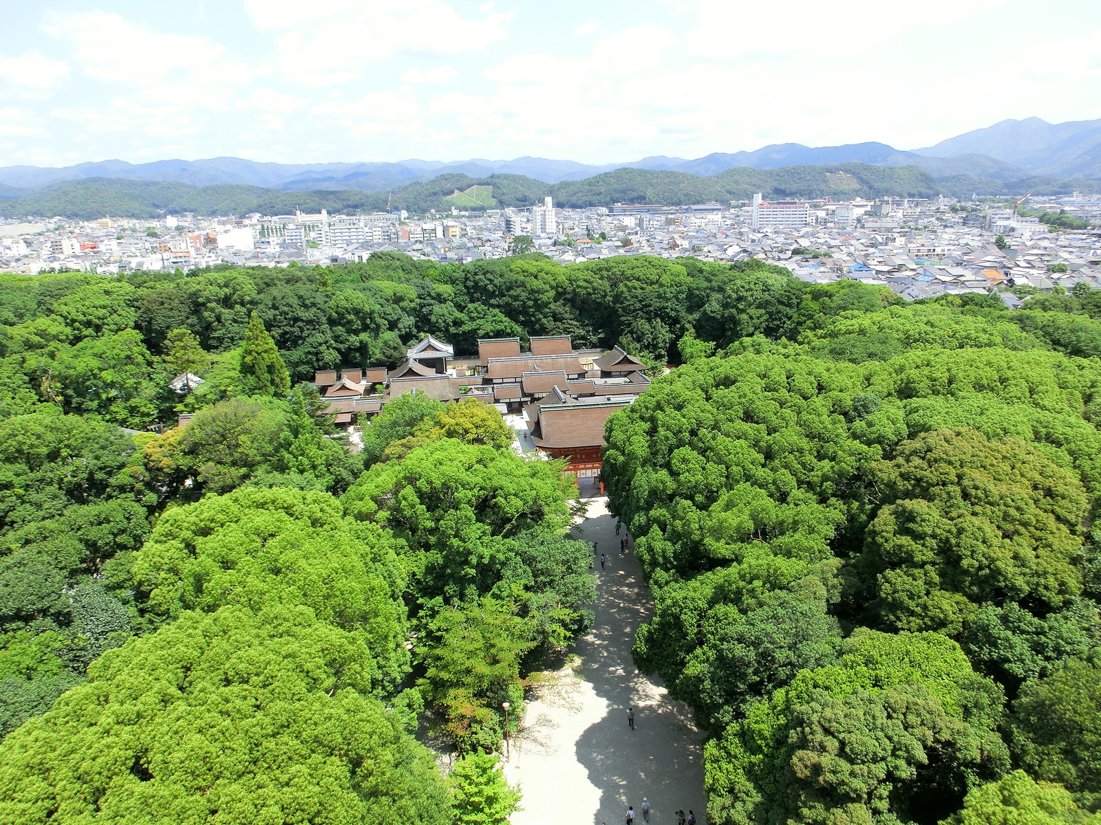 京都下鴨神社的林間小路