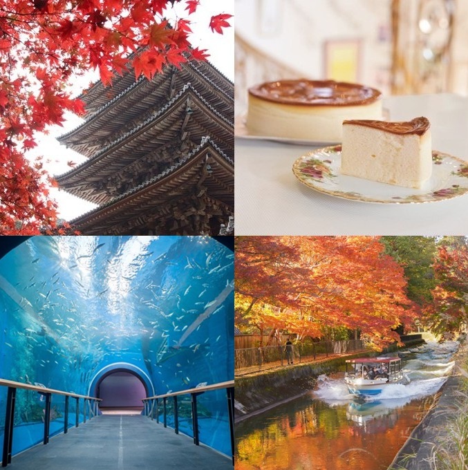 Explore Kyoto’s Hidden Gems and Collect Colorful Stamps