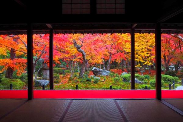 Autumn foliage at Jyugyu-no-Niwa Garden at Enko-ji Temple in Kyoto